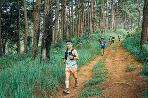 BIB: 
                            <button type="button" onclick="openModal(25664586)" class="btn btn-primary btn-sm float-right btn-popup" data-toggle="modal" data-target=".modal-high-quality">
                        <i class="fas fa-shopping-cart"></i> Add to Cart
                    </button>
                                            <button type="button" onclick="isThisMe(25664586, true)" class="btn btn-success btn-sm float-right btn-popup btn-isme hidden" data-toggle="tooltip" data-placement="bottom" title="นี่คือรูปของคุณใช่ไหม คลิกที่นี่เพื่อเอาเข้าอัลบั้ม">
                        <i class="fas fa-plus"></i> Add to album
                    </button>
                    <button type="button" onclick="isThisMe(25664586, false)" class="btn btn-warning btn-sm float-right btn-popup btn-isnotme hidden">
                        <i class="fas fa-ban"></i> Remove from album
                    </button>